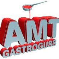 AMT Gastroguss